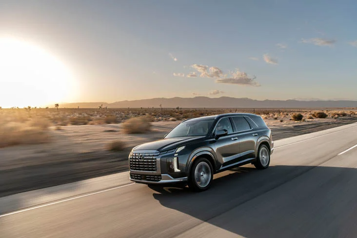 2025 Palisade